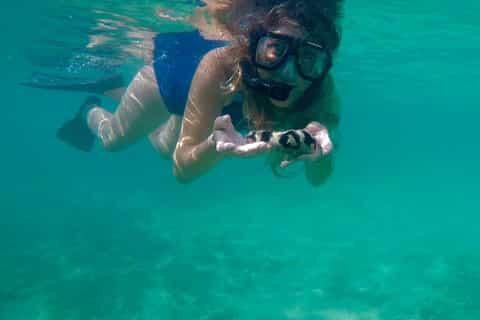 San Juan: Swimming and Snorkeling Tour with Turtles