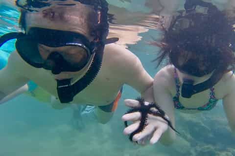 San Juan: Swimming and Snorkeling Tour with Turtles