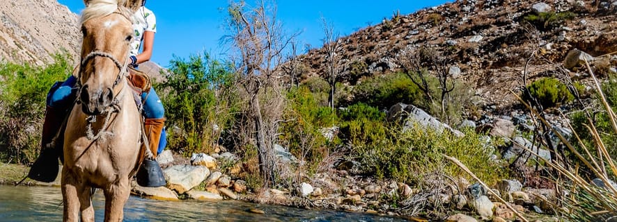 Cochiguaz: Horseback Riding, River and Mountain Range