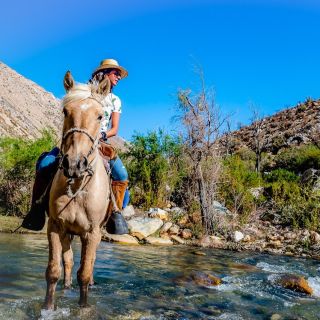 Cochiguaz: Horseback Riding, River and Mountain Range