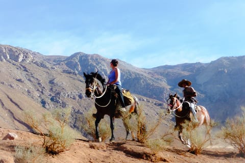Horseback riding to the viewpoint
