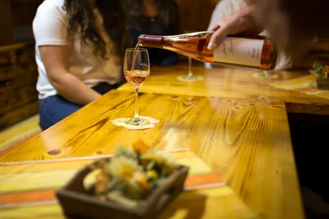 Winetasting with tour through the winery