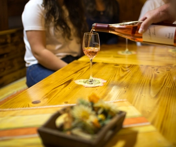 Winetasting with tour through the winery