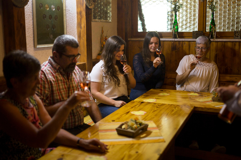 Degustação de vinhos com passeio pela vinícolaOpção padrão