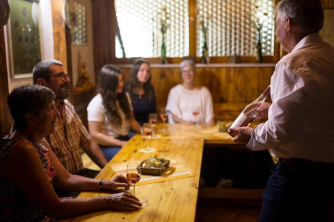 Winetasting with tour through the winery Standard option