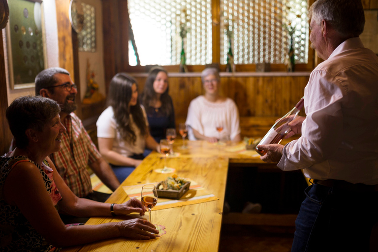 Winetasting with tour through the wineryStandard option