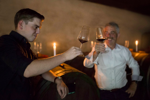 Degustação de vinhos com passeio pela vinícolaOpção padrão