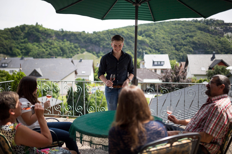 Winetasting with tour through the winery Standard option