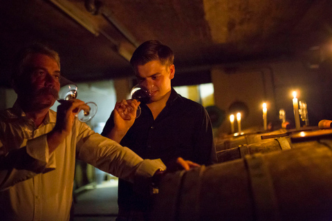 Degustação de vinhos com passeio pela vinícolaOpção padrão