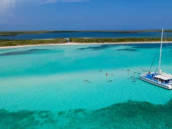 Cozumel: El Cielo, Palancar Reef, and Beach Party with Food