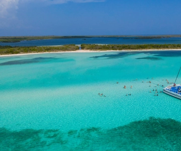 Cozumel: El Cielo, Palancar Reef, and Beach Party with Food
