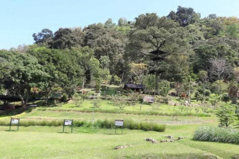 Kandy Top City Sights & Agro Tech Park Visit 4-Hours Tour Kandy Top City Sights visit -01