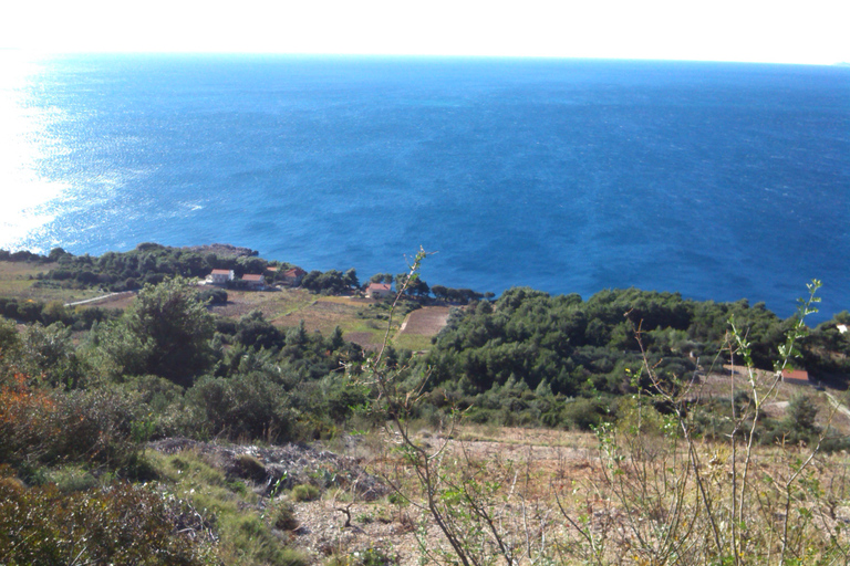 Dubrovnik: Deep Red Wine Tour of Pelješac