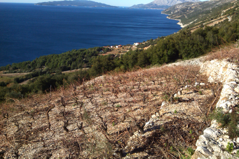 Dubrovnik: Deep Red Wine Tour of Pelješac