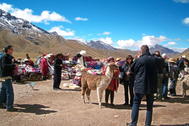 Ab Cusco: 2-tägiger Ausflug zu den Inseln Puno und UrosOption mit 3-Sterne-Basishotelunterkunft