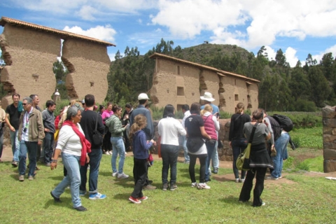De Cusco: excursion de 2 jours aux îles Puno et UrosOption avec hébergement en hôtel de base 3 étoiles
