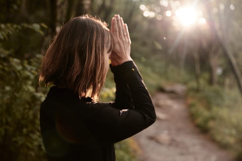Pisgah Forest: Forest Bathing & Nature Therapy Walking Tour