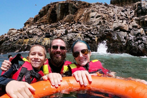Tour dell&#039;isola Palomino: nuotare con i leoni marini e vedere la fauna selvaticaTour dell&#039;isola di Palomino: nuota con i leoni marini e osserva la fauna selvatica