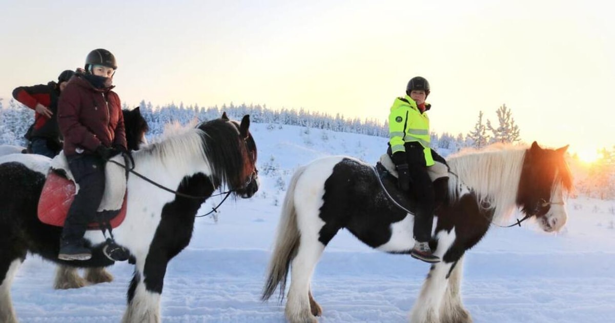 Rovaniemi: Arctic Horse Riding Experience | GetYourGuide