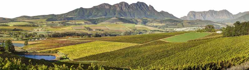 From Cape Town: Full-Day Winelands Tour With Tasting | GetYourGuide