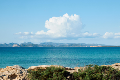 Ibiza: Formentera Boat and Bike Guide Tour +Sunset Party Gold Edition: Formentera Bike & Boat Adventure from Ibiza