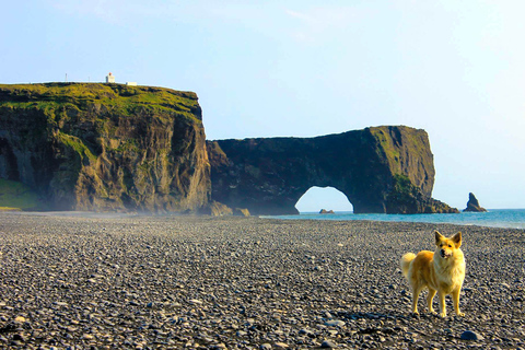 From Reykjavik: Private South Coast and Katla Ice Cave From Reykjavik: Private South Coast & Katla Ice Cave 1-4 PAX