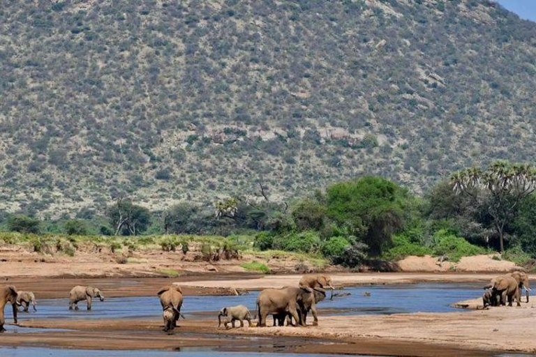 4 days Tsavo East, Amboseli and saltlick lodge safari