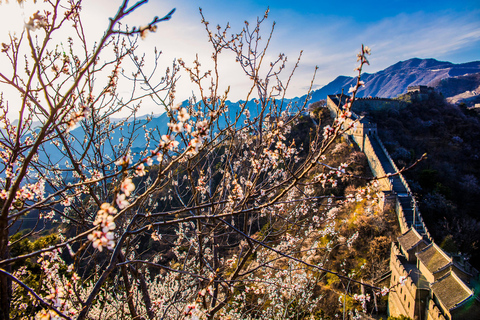 Busda: Mutianyu Great Wall & Ming Tomb Group/Private Tour Mutianyu Great Wall & Ming Tomb +XR Experience Private Tour