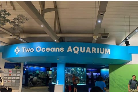 Cape Town: Family-Friendly Aquarium, Wheel & Illusions Tour