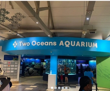 Cape Town: Aquarium, Duck Tour, and Botanical Garden Day