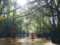 Khao Lak, Little Amazon Canoe Ride & Tam Nang Waterfall Tour - Housity