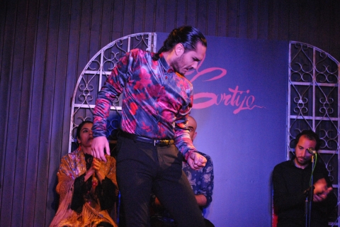 Madrid : atelier et spectacle de flamenco avec dîner et boissons