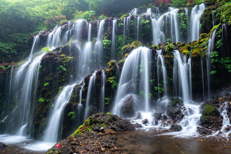 Nungnung Waterfall & Jatiluwih Rice Fields Tour