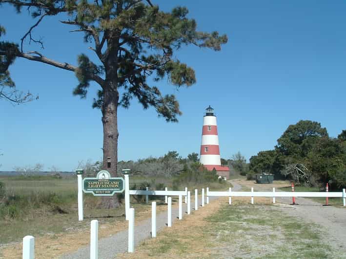 The BEST Sapelo Island, Tours and Things to Do in 2023 FREE