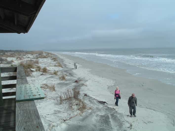 Sapelo Island FullDay Guided Sightseeing Tour GetYourGuide