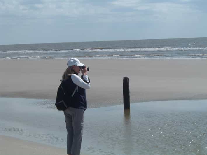 Sapelo Island FullDay Guided Sightseeing Tour GetYourGuide