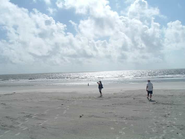 Sapelo Island FullDay Guided Sightseeing Tour GetYourGuide
