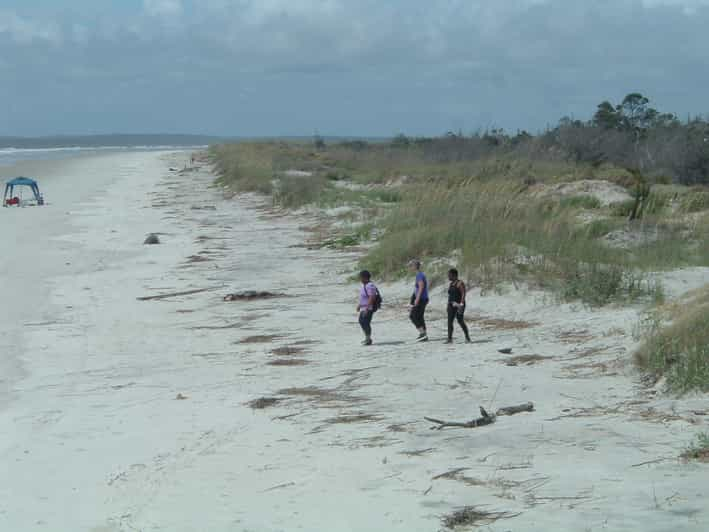 sapelo island tours free day