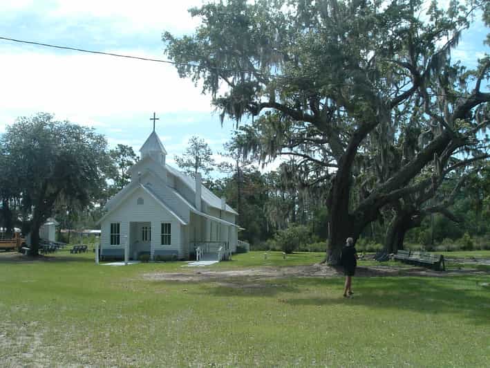 Sapelo Island FullDay Guided Sightseeing Tour GetYourGuide