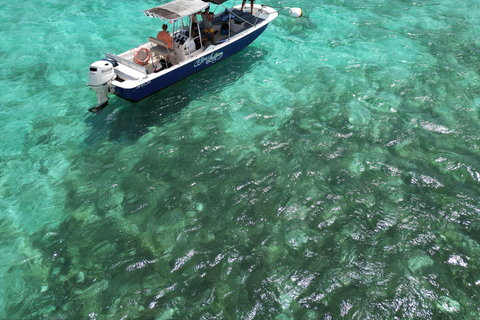 Guadeloupe: Magical half-day boat trip: mangrove, islet, snorkeling. Guadeloupe: Magical 1/2-day boat trip: mangrove, islet, snorkeling.