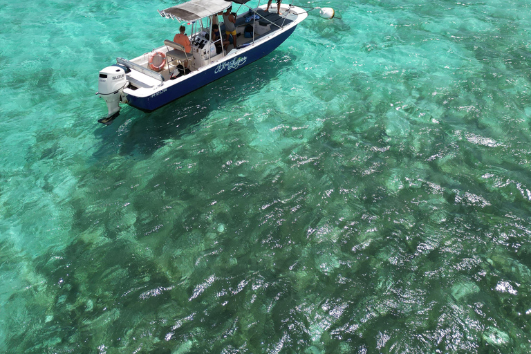 Guadeloupe: Magical half-day boat trip: mangrove, islet, snorkeling. Guadeloupe: Magical 1/2-day boat trip: mangrove, islet, snorkeling.