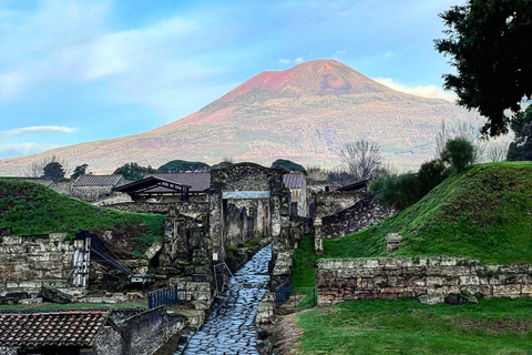 From Positano: Pompeii and Vesuvius Guided Tour