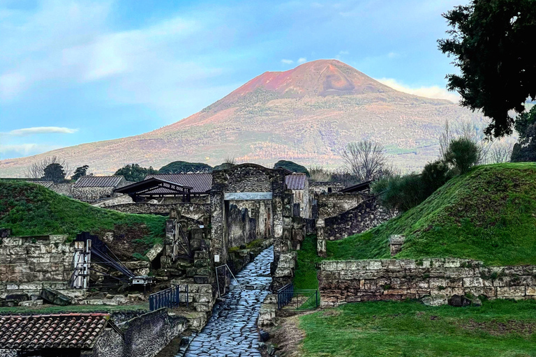 From Positano: Pompeii and Vesuvius Guided Tour