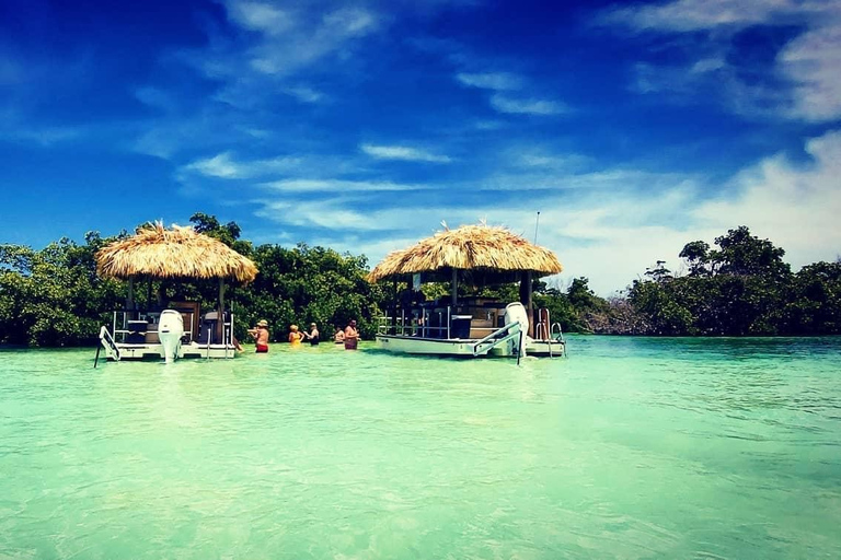 Key West: 4-stündige private Sandbank-Kreuzfahrt auf einem Tiki-Bar-Boot