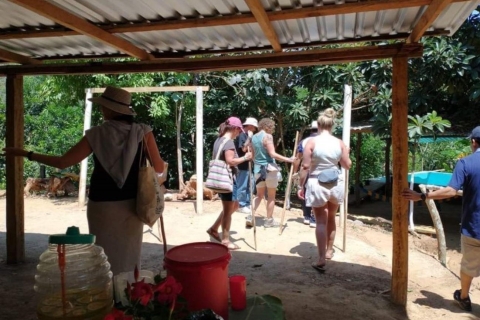 Huatulco : Expérience privée dans un ranch de café et de fruits