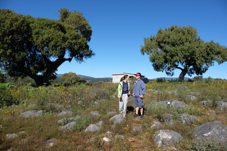 From Oaxaca: Santiago Apoala Hiking Trip with Local's Lunch