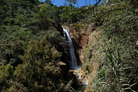 Wandern + Schwimmen an den Apoala Wasserfällen