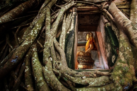 Bangkok: templo del dragón, templo de las raíces y mercado flotante