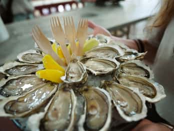 From San Sebastian: Flavors of French Basque Country Tour