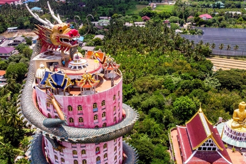 Bangkok: templo del dragón, templo de las raíces y mercado flotante